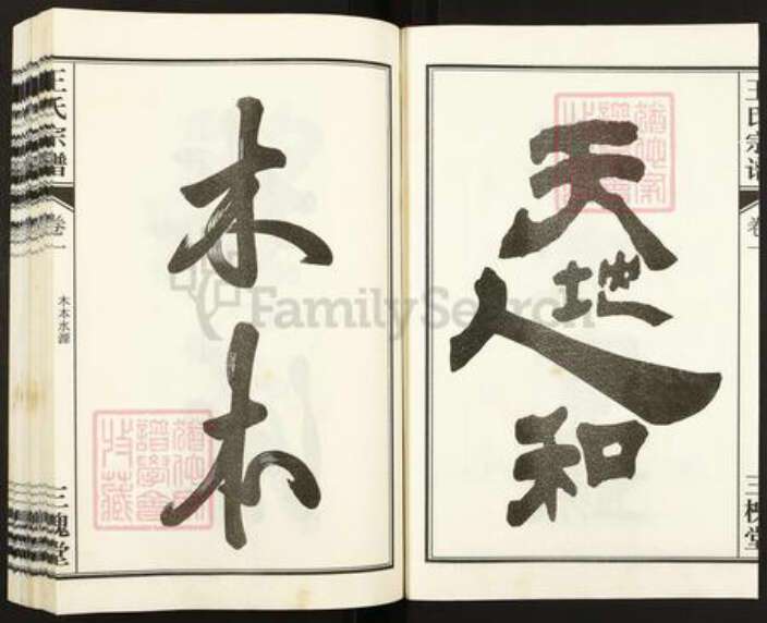 安徽省合肥市王氏三槐堂族谱-王氏宗谱.pdf电子版预览图3