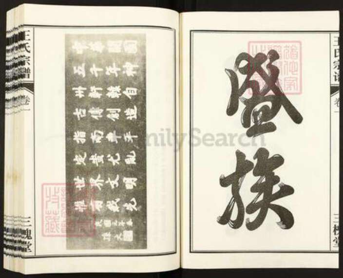 安徽省合肥市王氏三槐堂族谱-王氏宗谱.pdf电子版预览图5