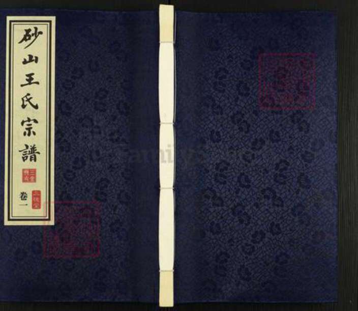 江苏省无锡市江阴市华士镇王氏三槐堂族谱-江阴王氏世谱.pdf电子版缩略图