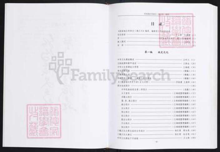 贵州省毕节市王氏三槐堂族谱-西南地区的部分三槐王氏.pdf电子版预览图1