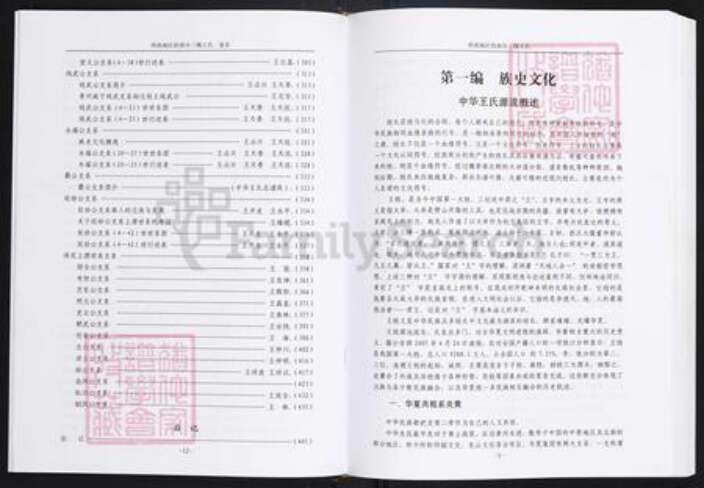 贵州省毕节市王氏三槐堂族谱-西南地区的部分三槐王氏.pdf电子版预览图3