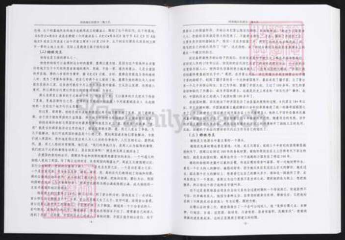 贵州省毕节市王氏三槐堂族谱-西南地区的部分三槐王氏.pdf电子版预览图5
