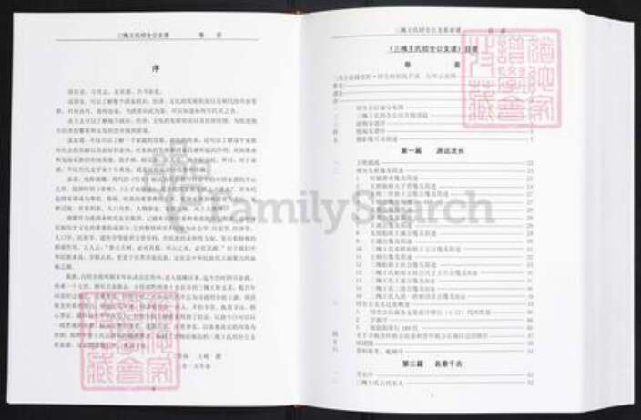 云南省昭通市镇雄县王氏三槐堂族谱-三槐王氏绍全公支谱.pdf电子版预览图2