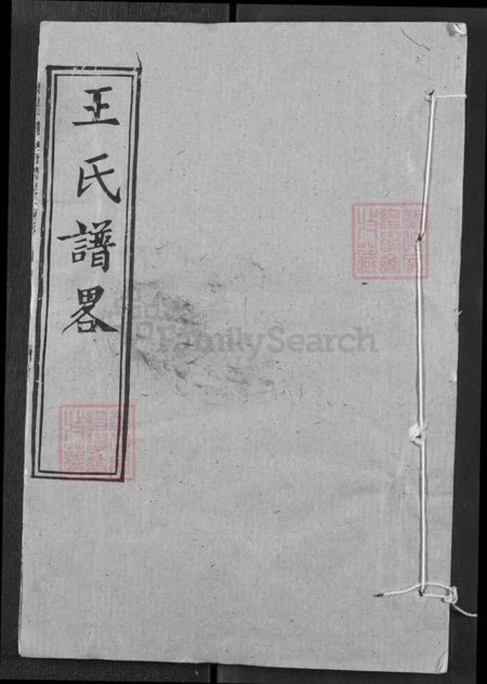 湖北省武汉市新洲区王氏三槐堂族谱-王氏宗谱.pdf电子版缩略图