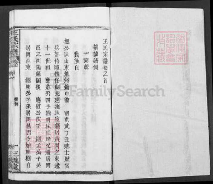 湖北省武汉市新洲区王氏三槐堂族谱-王氏宗谱.pdf电子版预览图1