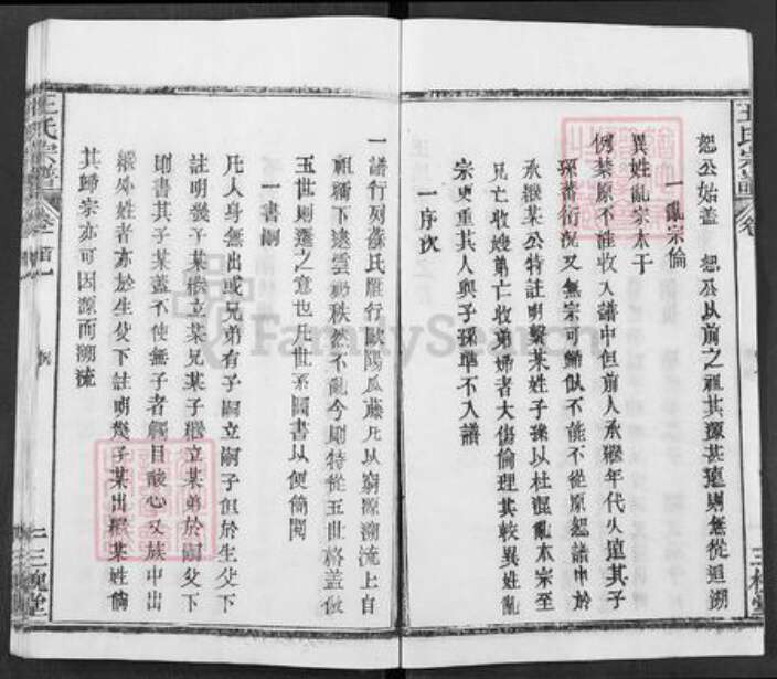 湖北省武汉市新洲区王氏三槐堂族谱-王氏宗谱.pdf电子版预览图2