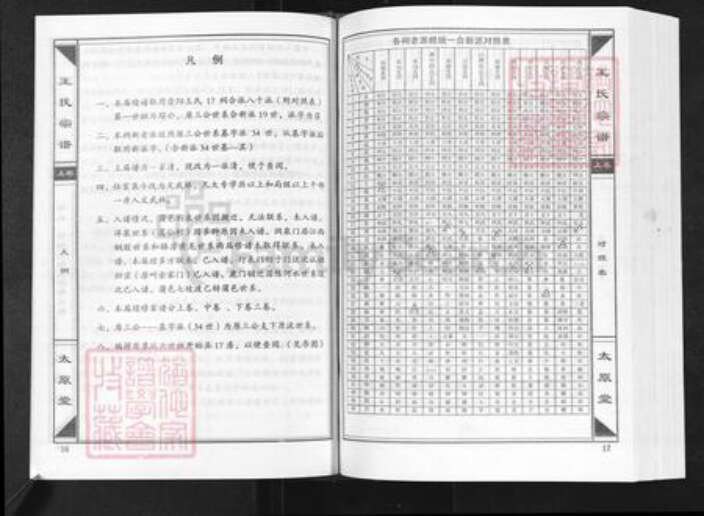 湖北省咸宁市崇阳县白霓镇王氏太原堂族谱-崇阳王氏大成总谱.新塘祠分谱.pdf电子版预览图3