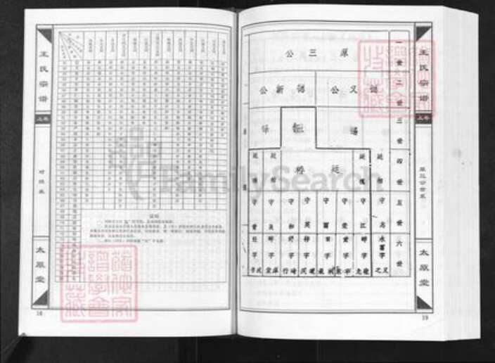 湖北省咸宁市崇阳县白霓镇王氏太原堂族谱-崇阳王氏大成总谱.新塘祠分谱.pdf电子版预览图4