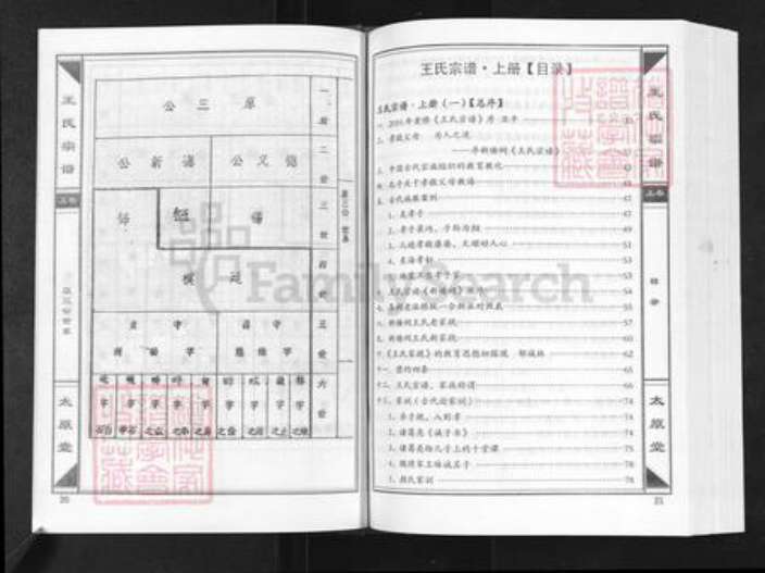 湖北省咸宁市崇阳县白霓镇王氏太原堂族谱-崇阳王氏大成总谱.新塘祠分谱.pdf电子版预览图5