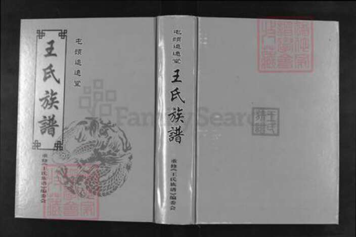 山东省泰安市肥城市桃园镇王氏追远堂族谱-屯头追远堂王氏族谱.pdf电子版缩略图