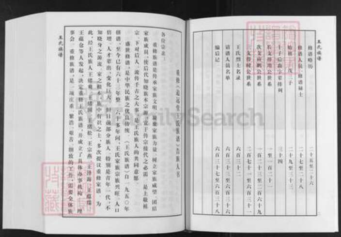 山东省泰安市肥城市桃园镇王氏追远堂族谱-屯头追远堂王氏族谱.pdf电子版预览图1