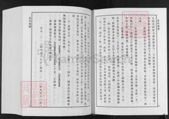 山东省泰安市肥城市桃园镇王氏追远堂族谱-屯头追远堂王氏族谱.pdf电子版预览图2