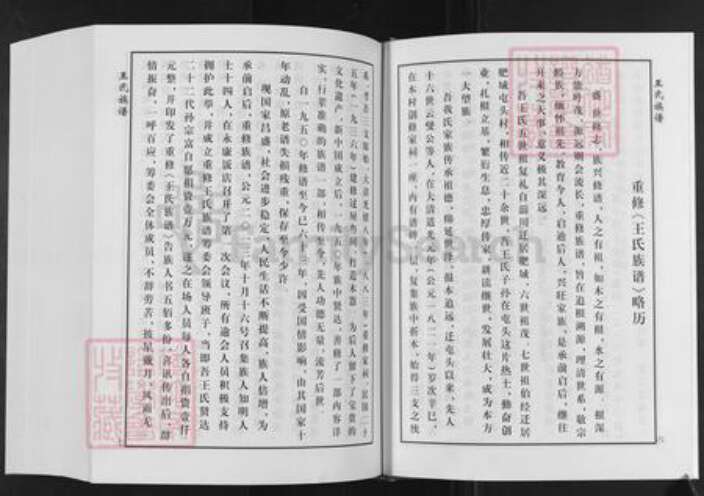 山东省泰安市肥城市桃园镇王氏追远堂族谱-屯头追远堂王氏族谱.pdf电子版预览图3