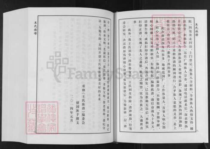 山东省泰安市肥城市桃园镇王氏追远堂族谱-屯头追远堂王氏族谱.pdf电子版预览图4