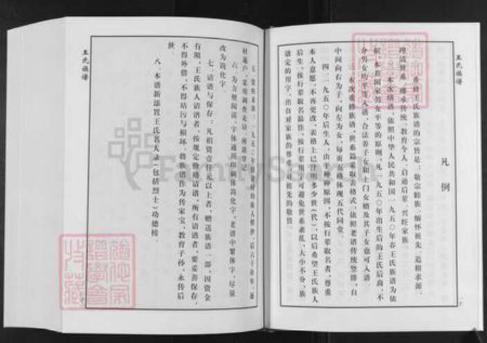 山东省泰安市肥城市桃园镇王氏追远堂族谱-屯头追远堂王氏族谱.pdf电子版预览图5