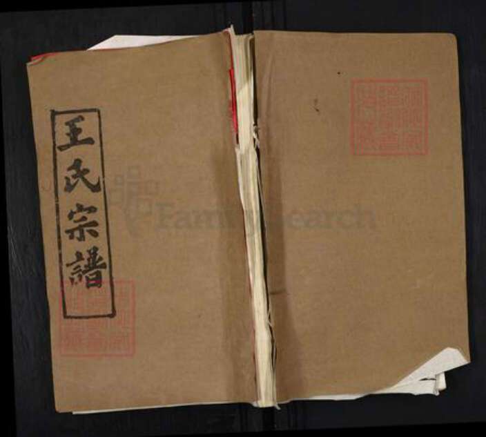 湖北省王氏三槐堂族谱-王氏宗谱.pdf电子版缩略图