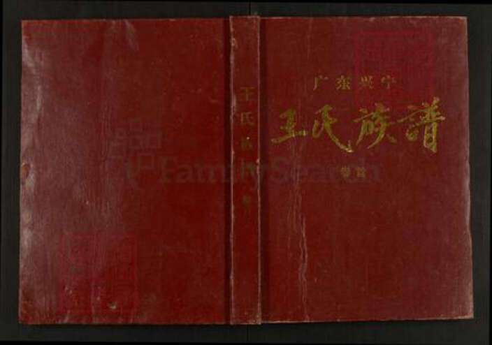 广东省梅州市兴宁市王氏三槐堂族谱-广东兴宁王氏族谱.pdf电子版缩略图