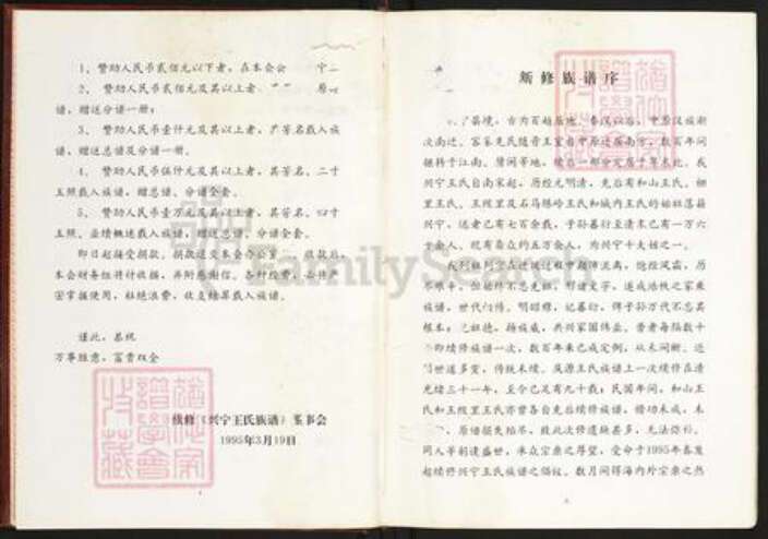 广东省梅州市兴宁市王氏三槐堂族谱-广东兴宁王氏族谱.pdf电子版预览图4