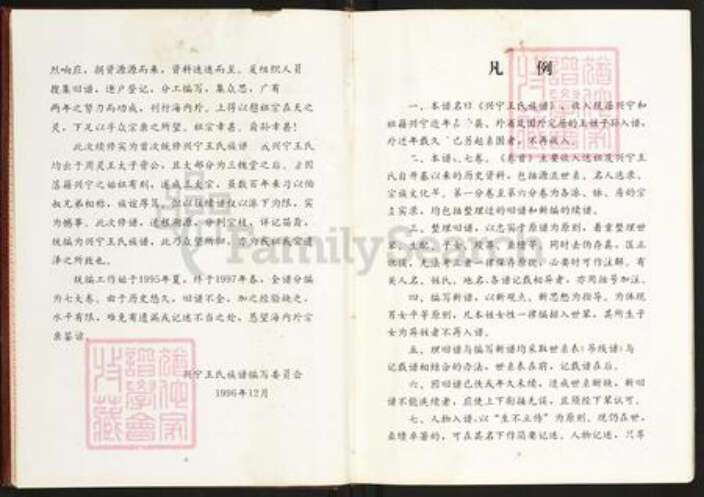 广东省梅州市兴宁市王氏三槐堂族谱-广东兴宁王氏族谱.pdf电子版预览图5