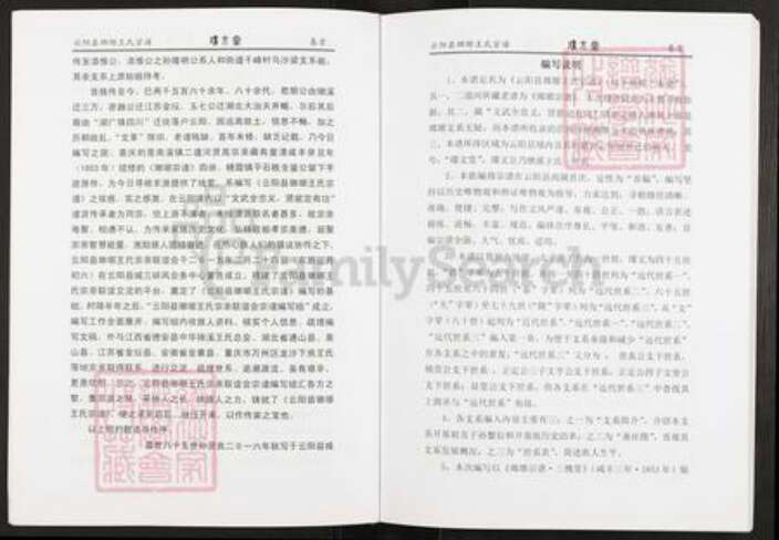 重庆市云阳县王氏瓘文堂族谱-云阳县琅琊王氏宗谱.pdf电子版预览图4