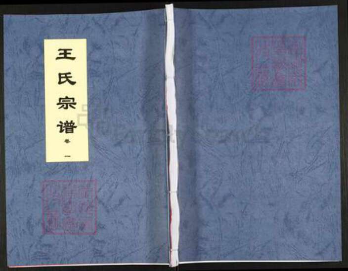 安徽省合肥市肥东县店端口镇王氏三槐堂族谱-王氏宗谱.pdf电子版缩略图