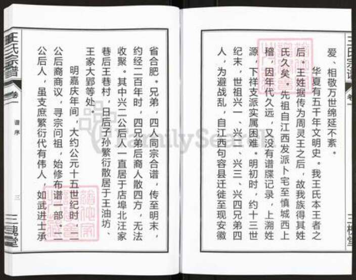 安徽省合肥市肥东县店端口镇王氏三槐堂族谱-王氏宗谱.pdf电子版预览图4