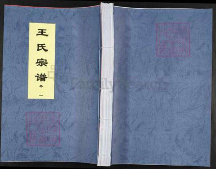 安徽省合肥市王氏三槐堂族谱-王氏宗谱.pdf电子版缩略图