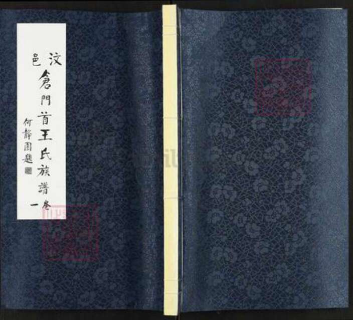 山东省济宁市汶上县王氏族谱-仓门首王氏族谱.pdf电子版缩略图