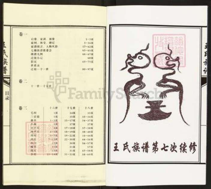 山东省济宁市汶上县王氏族谱-仓门首王氏族谱.pdf电子版预览图2