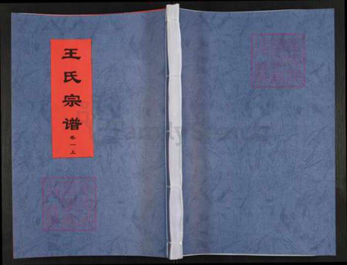 安徽省合肥市肥东县店端口镇王氏三槐堂族谱-王氏宗谱.pdf电子版缩略图