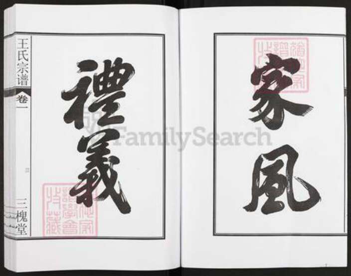 安徽省合肥市肥东县店端口镇王氏三槐堂族谱-王氏宗谱.pdf电子版预览图4