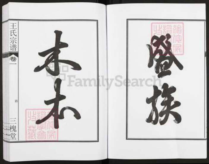 安徽省合肥市肥东县店端口镇王氏三槐堂族谱-王氏宗谱.pdf电子版预览图5