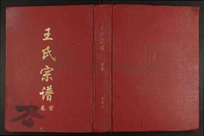 江西省九江市德安县爱民乡王氏忠孝堂族谱-王氏宗谱.pdf电子版缩略图