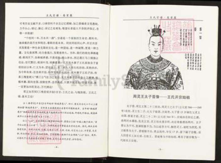 四川省巴中市平昌县兰草镇王氏族谱-木寨子王氏宗谱.pdf电子版预览图5