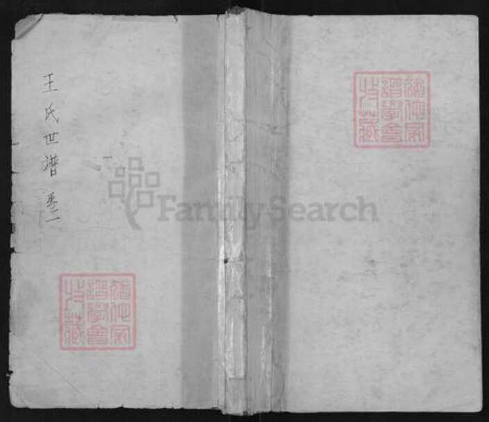 山东省淄博市淄川区王氏族谱-王氏世谱.pdf电子版缩略图