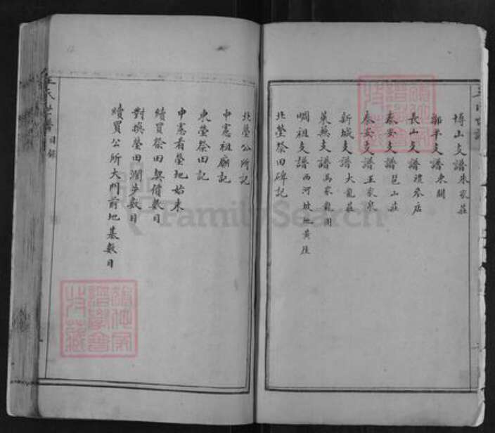 山东省淄博市淄川区王氏族谱-王氏世谱.pdf电子版预览图3