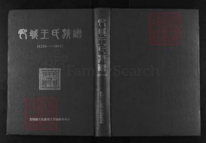 山东省泰安市肥城县仪阳街道王氏族谱-肥城王氏族谱.pdf电子版缩略图