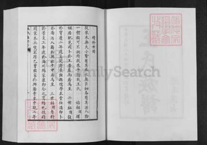 山东省泰安市肥城县仪阳街道王氏族谱-肥城王氏族谱.pdf电子版预览图2