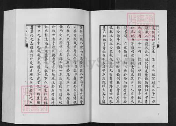 山东省泰安市肥城县仪阳街道王氏族谱-肥城王氏族谱.pdf电子版预览图3