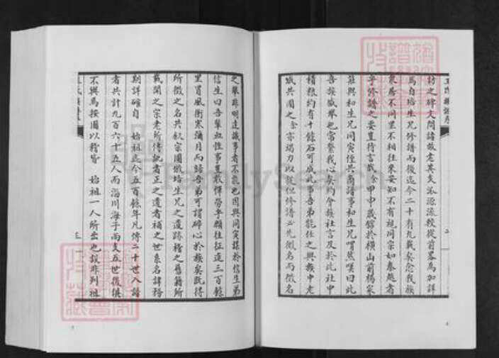 山东省泰安市肥城县仪阳街道王氏族谱-肥城王氏族谱.pdf电子版预览图4