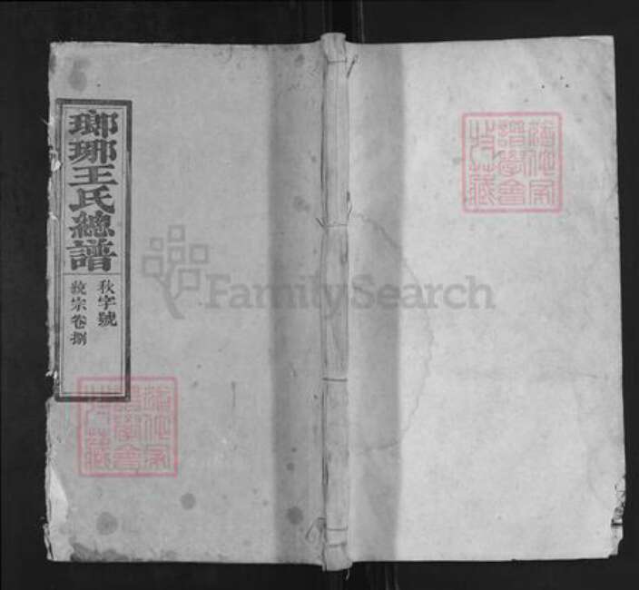 安徽省安庆市潜山市王氏一本堂族谱-琅琊王氏总谱.pdf电子版缩略图