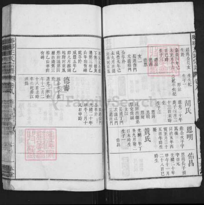 安徽省安庆市潜山市王氏一本堂族谱-琅琊王氏总谱.pdf电子版预览图2