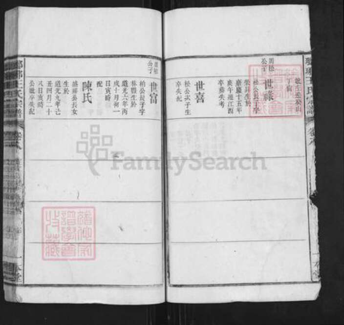 安徽省安庆市潜山市王氏一本堂族谱-琅琊王氏总谱.pdf电子版预览图4