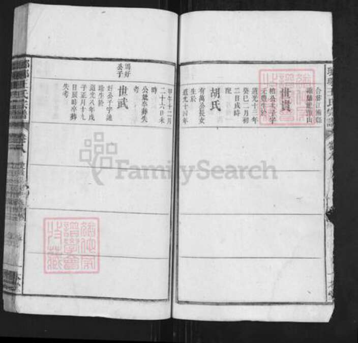 安徽省安庆市潜山市王氏一本堂族谱-琅琊王氏总谱.pdf电子版预览图5