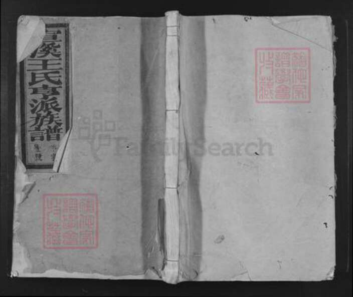 江西省吉安市吉安县敖城镇王氏乐善堂族谱-宣溪王氏亨派族谱.pdf电子版缩略图