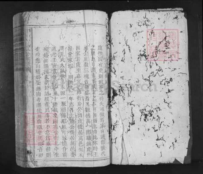 江西省赣州市兴国县龙口镇王氏三槐堂族谱-兴雩邑王氏五修族谱.pdf电子版预览图1