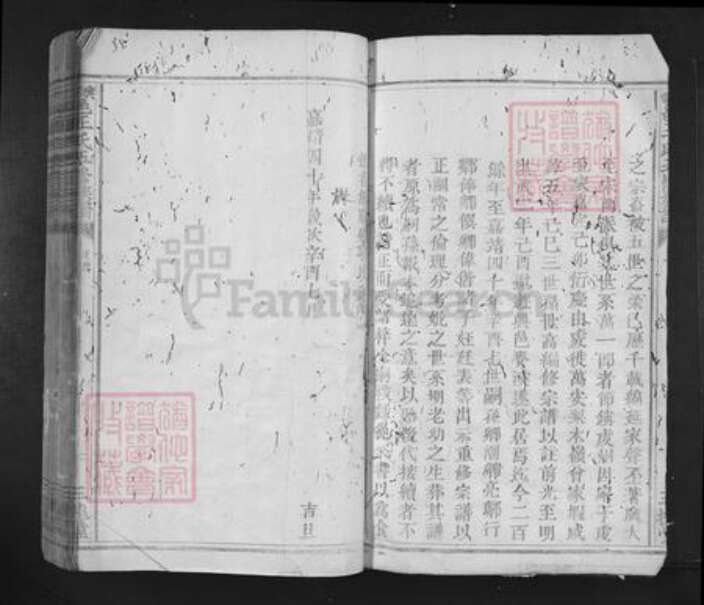 江西省赣州市兴国县龙口镇王氏三槐堂族谱-兴雩邑王氏五修族谱.pdf电子版预览图5