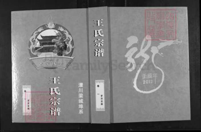 湖北省孝感市湖北省孝感市孝南区王氏三槐堂族谱-王氏宗谱.澴川梁城端口系.pdf电子版缩略图