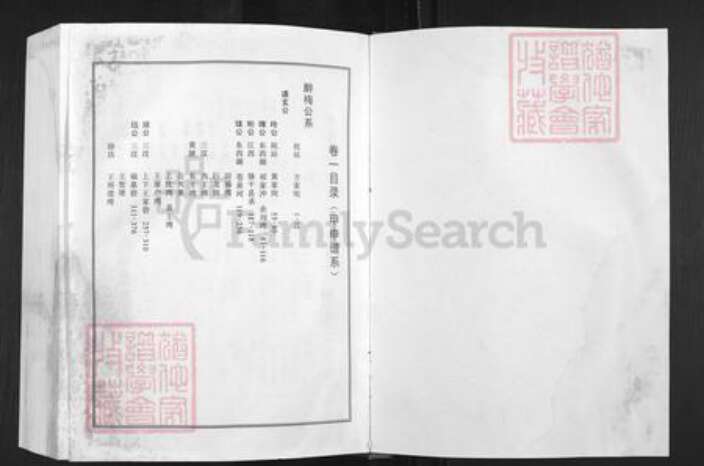 湖北省孝感市湖北省孝感市孝南区王氏三槐堂族谱-王氏宗谱.澴川梁城端口系.pdf电子版预览图1