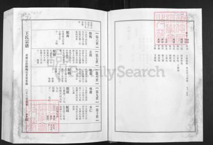 湖北省孝感市湖北省孝感市孝南区王氏三槐堂族谱-王氏宗谱.澴川梁城端口系.pdf电子版预览图2
